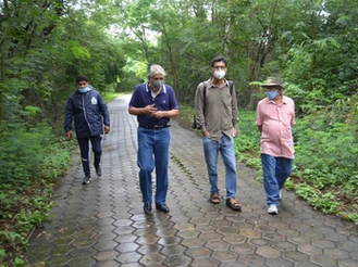 Urban Jungles: Expanding the Canopy in City Planning