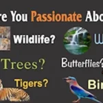 Annual Environment Lectures