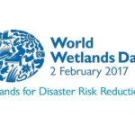 World Wetlands Day