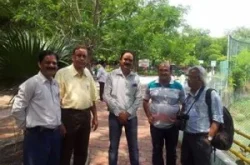 25 July 2015